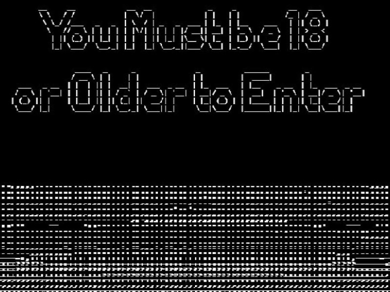 Ein Screenshot des Titels von "You Must Be 18 or Older to Enter".