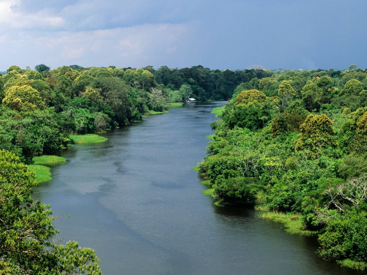 Amazonas