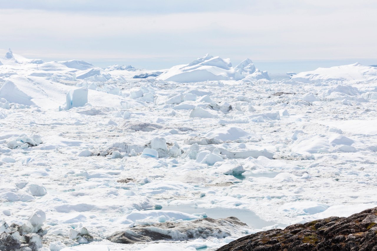 Die Polarzone erstreckt sich jeweils am Nord- und am Südpol. Die Temperaturen liegen zum größten Teil des Jahres unter dem Gefrierpunkt.