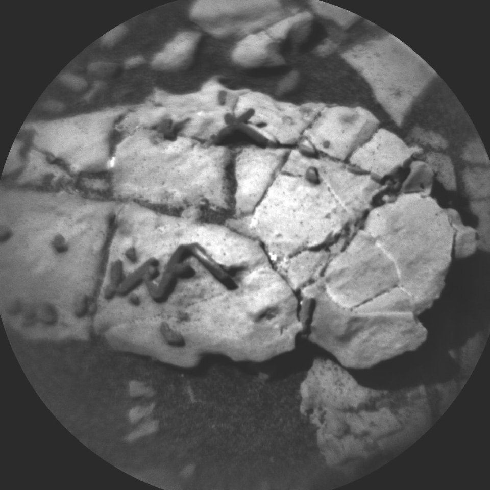 Dieses Bild könnte ein Fossil auf dem Mars zeigen.