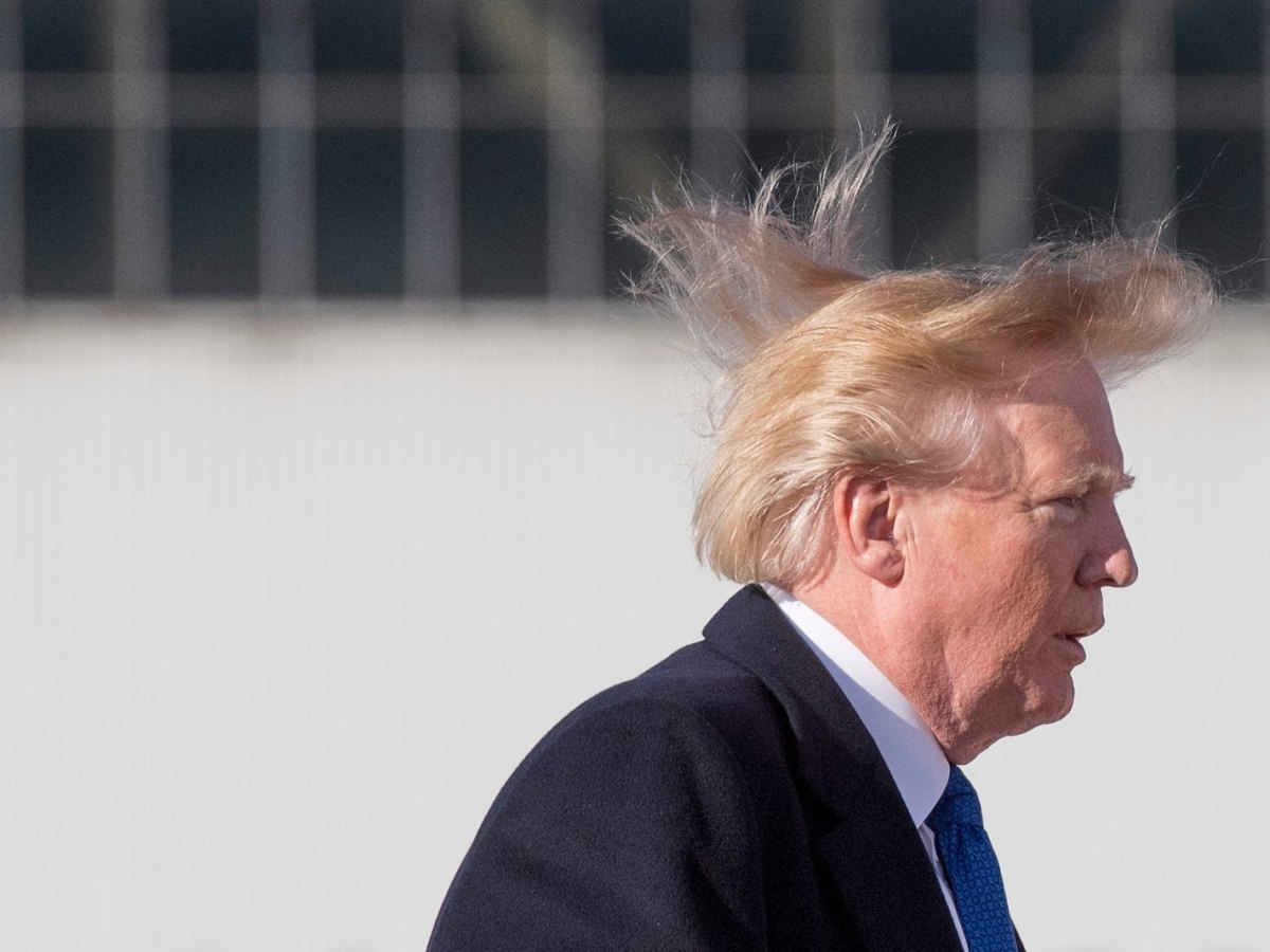 Donald Trump's Hair