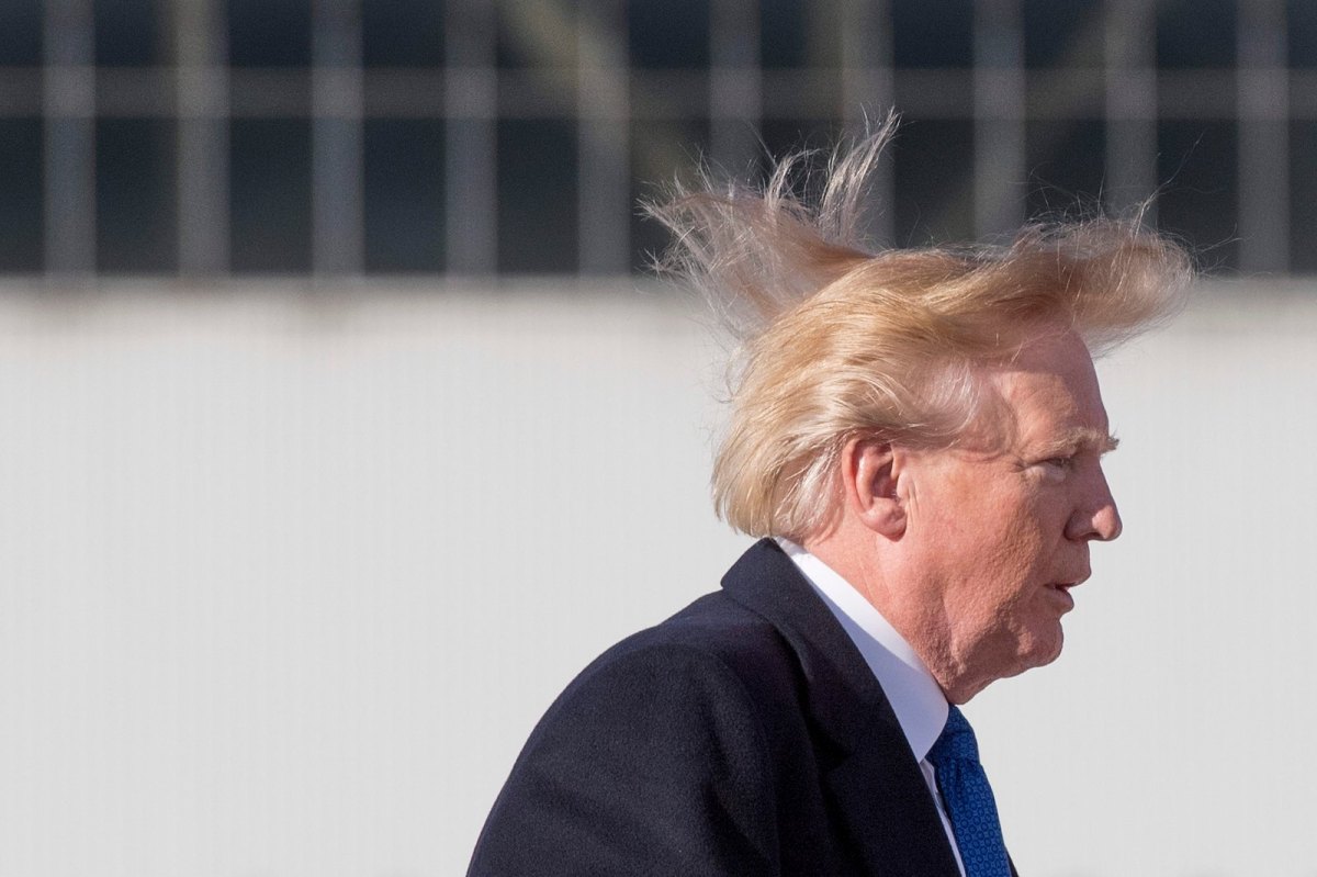 Donald Trump's Hair