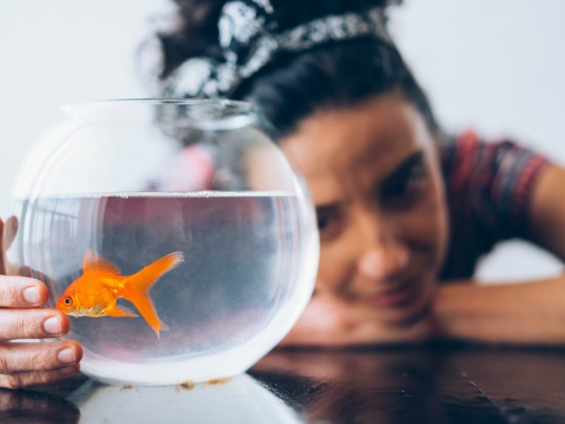 Frau schaut einen Goldfisch im Glas an