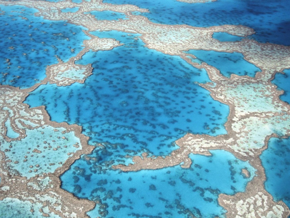 Great-Barrier-Reef