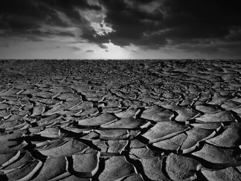 Ein Dürrelandschaft in Schwarz-Weiß.