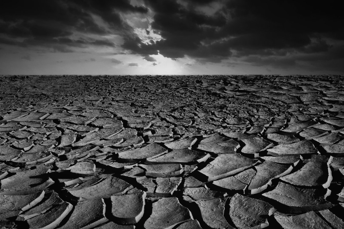 Ein Dürrelandschaft in Schwarz-Weiß.