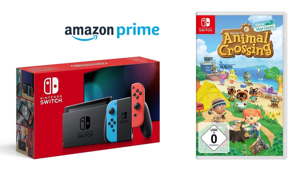 Nintendo Switch plus "Animal Crossing: New Horizons"