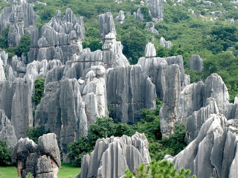 Ein Bild eines Steinwalds aus China.