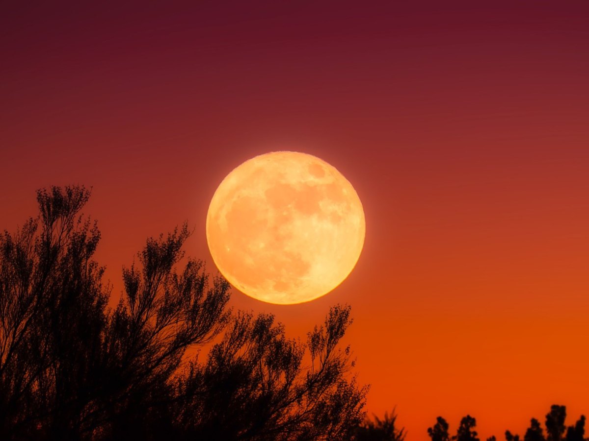 Ein Vollmond vor einem rötlichen Himmel