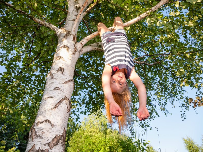 Ein Mädchen baumelt kopfüber vom Baum: die Schwerkraft macht das.