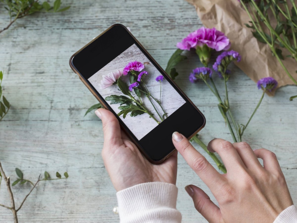 Blumen mit Handy aufgenommen