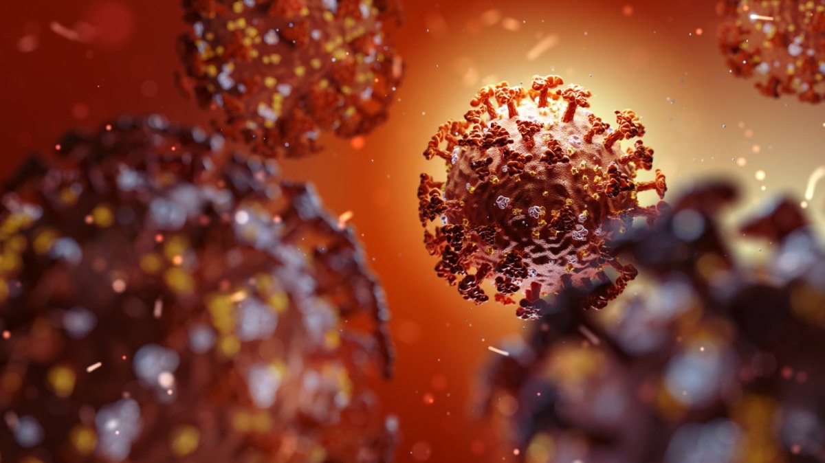 Coronavirus SARS-CoV-2