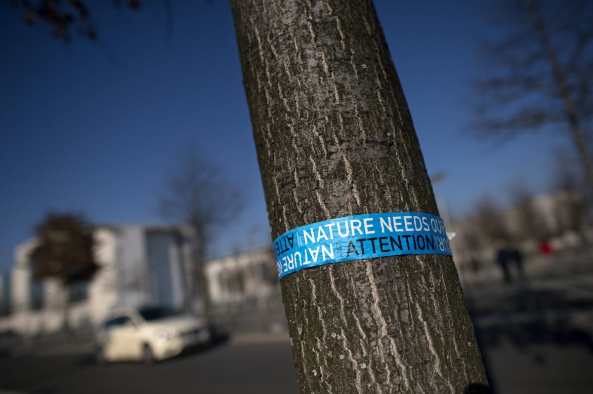 Baum mit Banner "Nature needs Attention" von Greenpeace