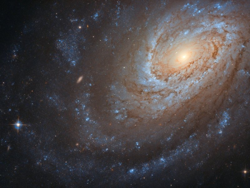 Spiralgalaxie NGC 4651