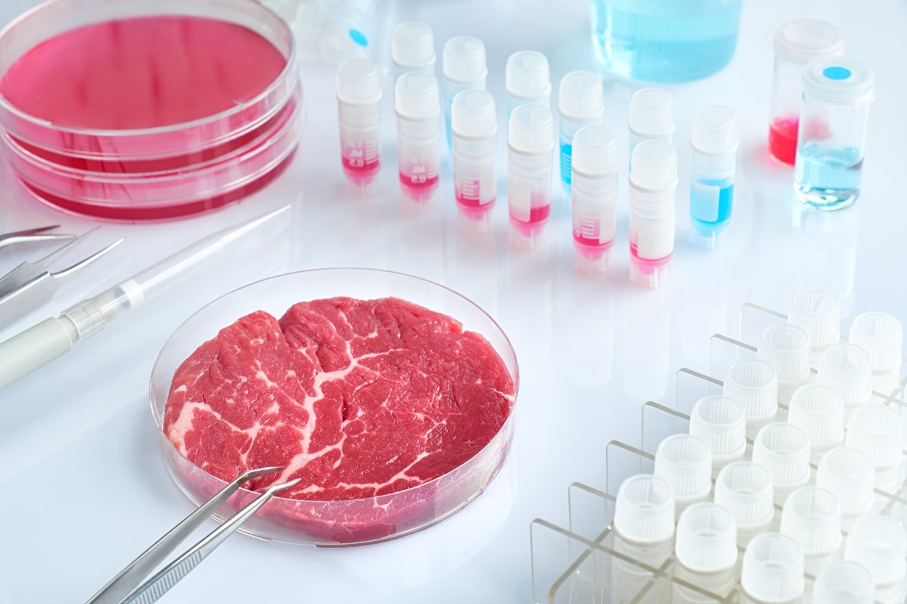 In-vitro-Fleisch – wird es Fleisch ein für alle mal verdrängen ...