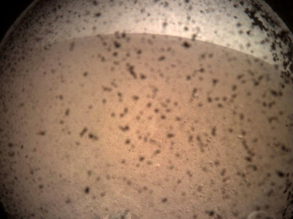 Das erste Bild von NASAs Mars Lander Insight