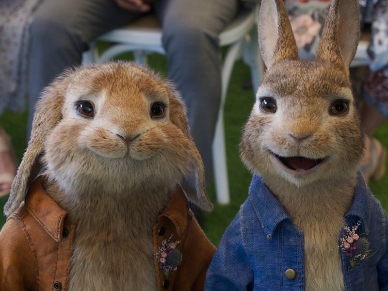 Filmszene aus Peter Rabbit 2.