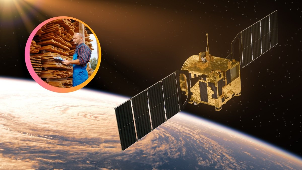 Satellit und Sägewerk