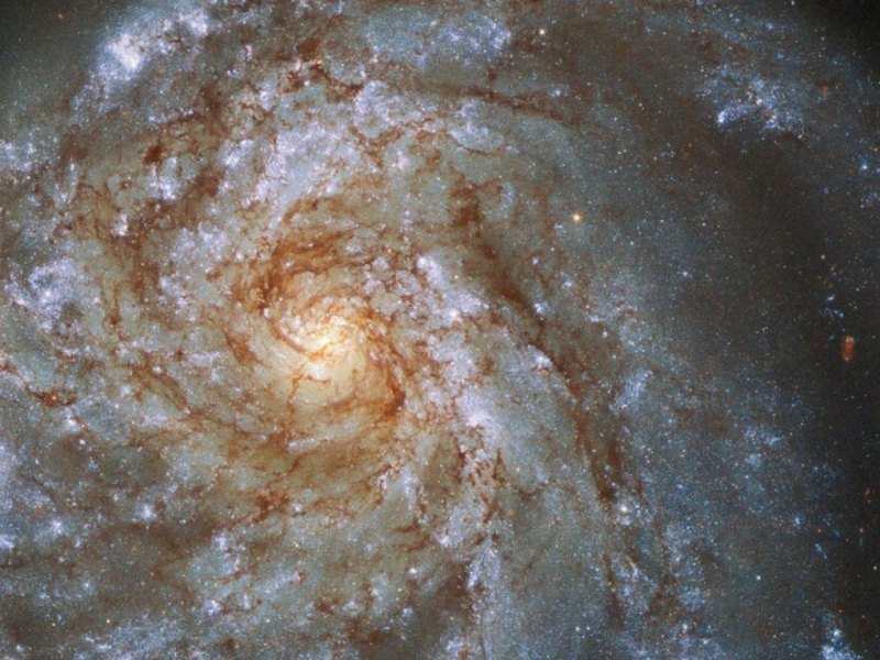 NGC 2276