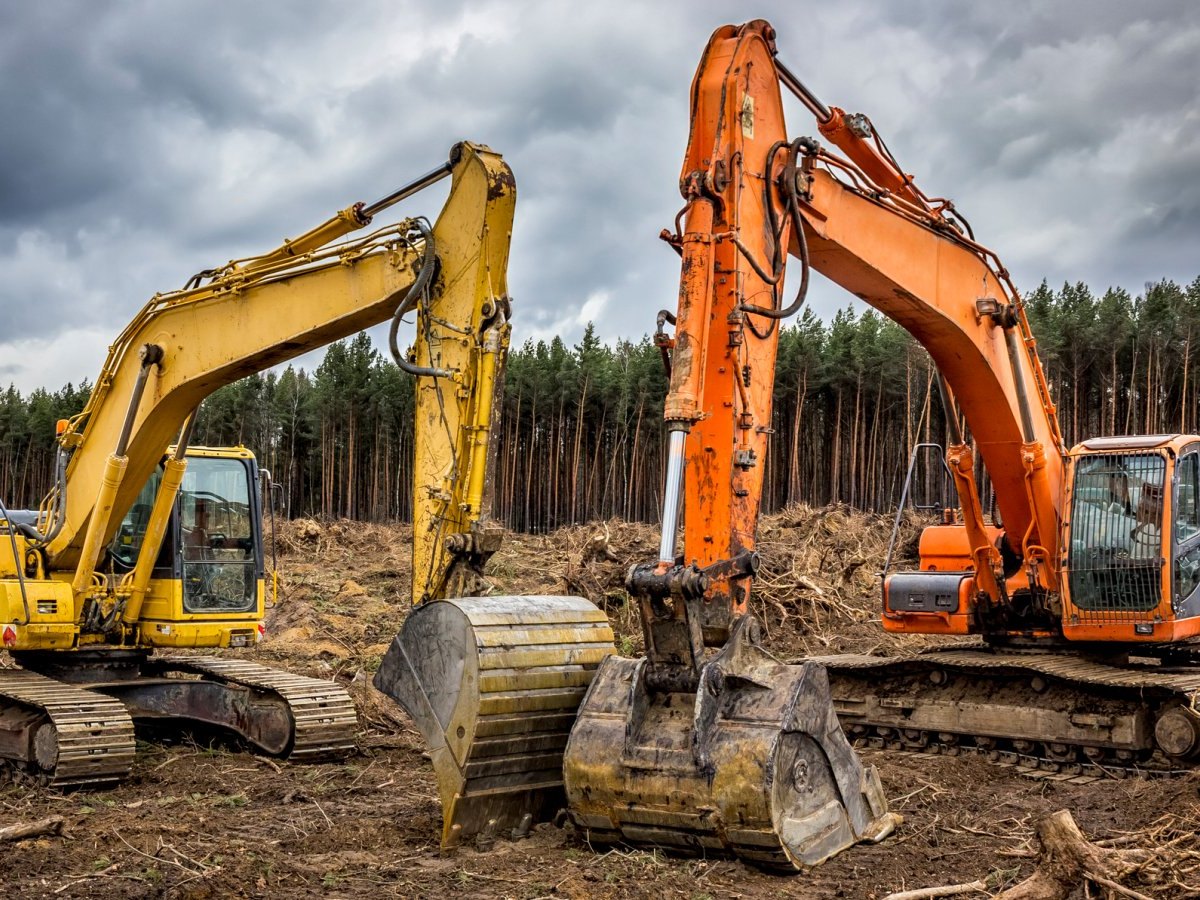 Bagger roden einen Wald