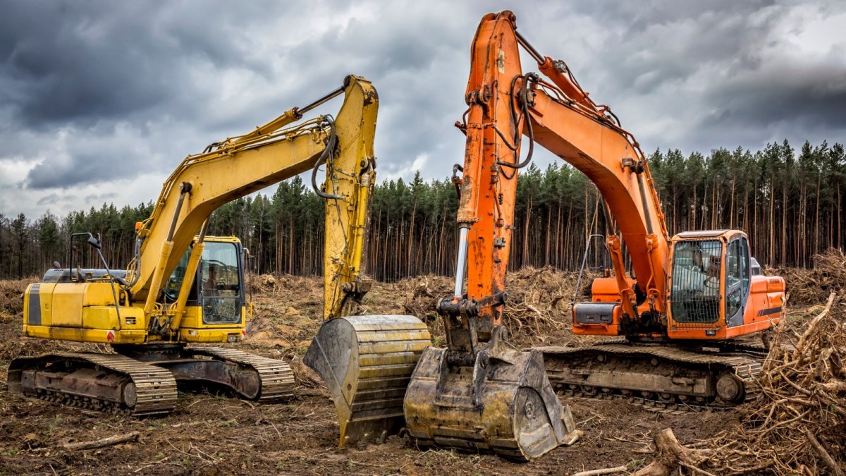 Bagger roden einen Wald