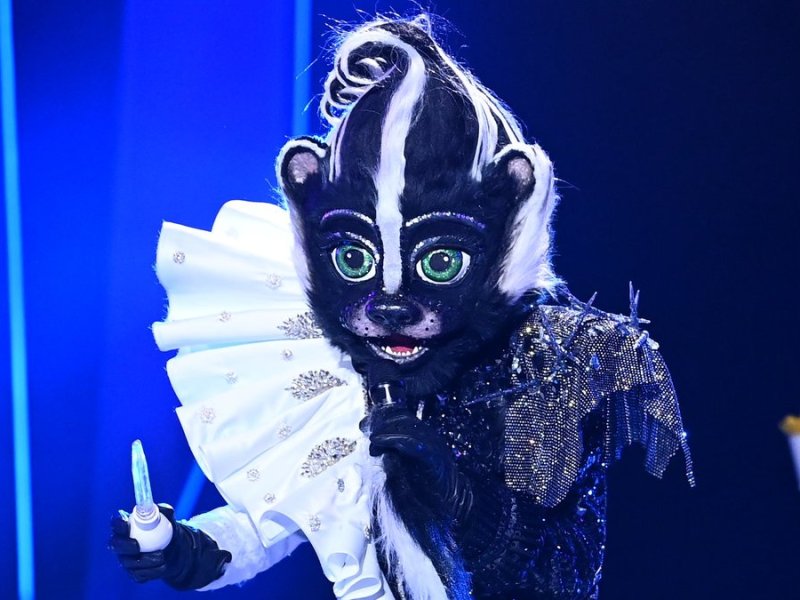 Das Stinktier wurde in der dritten Folge von "The Masked Singer" demaskiert.. © ProSieben/Willi Weber