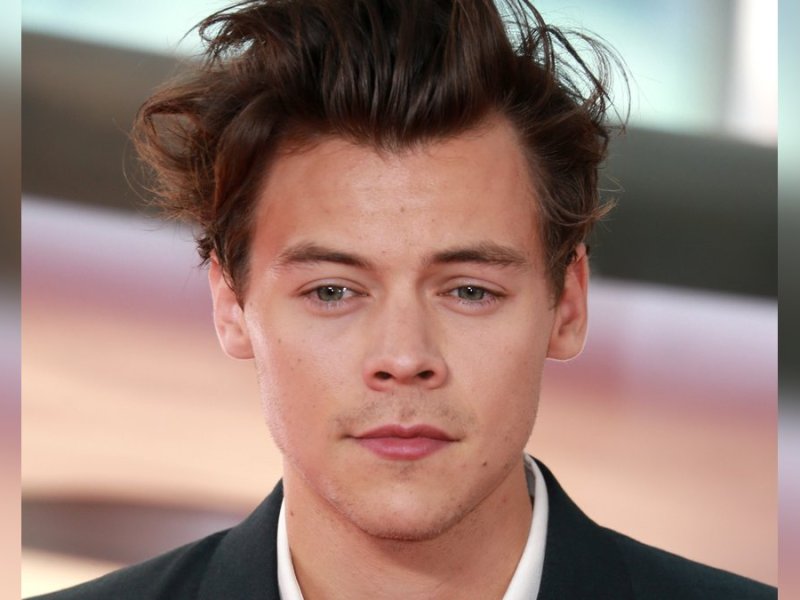 Harry Styles ist das Schauspielfach nicht fremd.. © Cubankite/Shutterstock.com