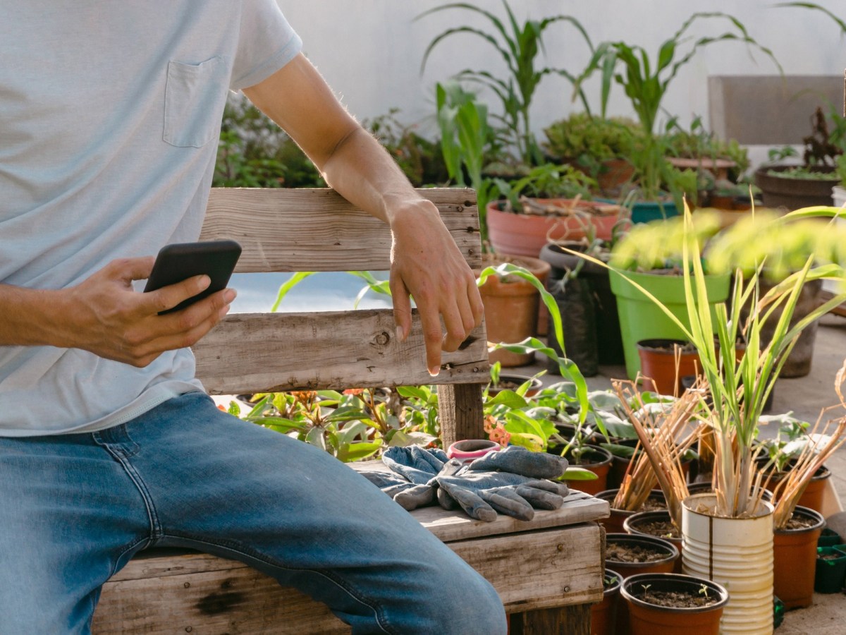 Mann sitzt in Garten mit Handy