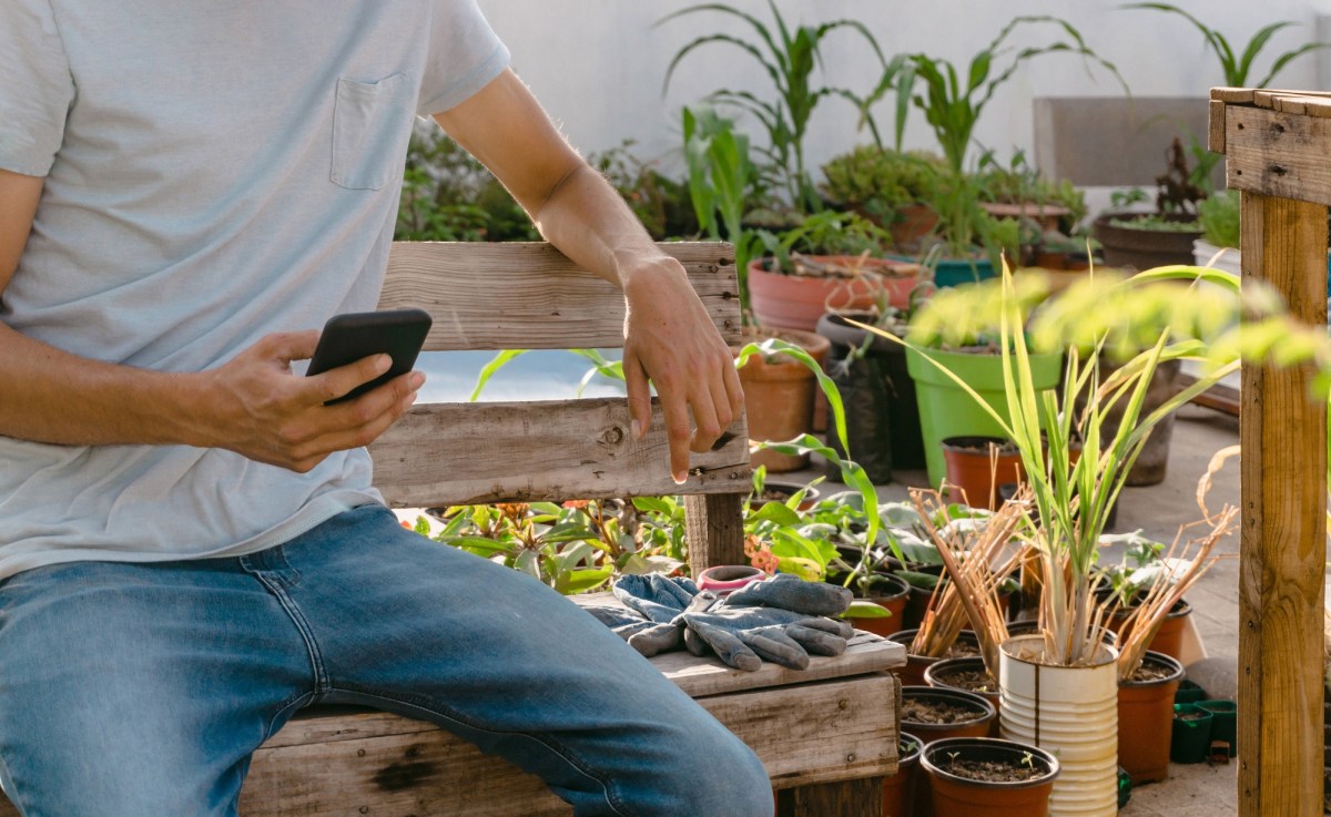 Mann sitzt in Garten mit Handy