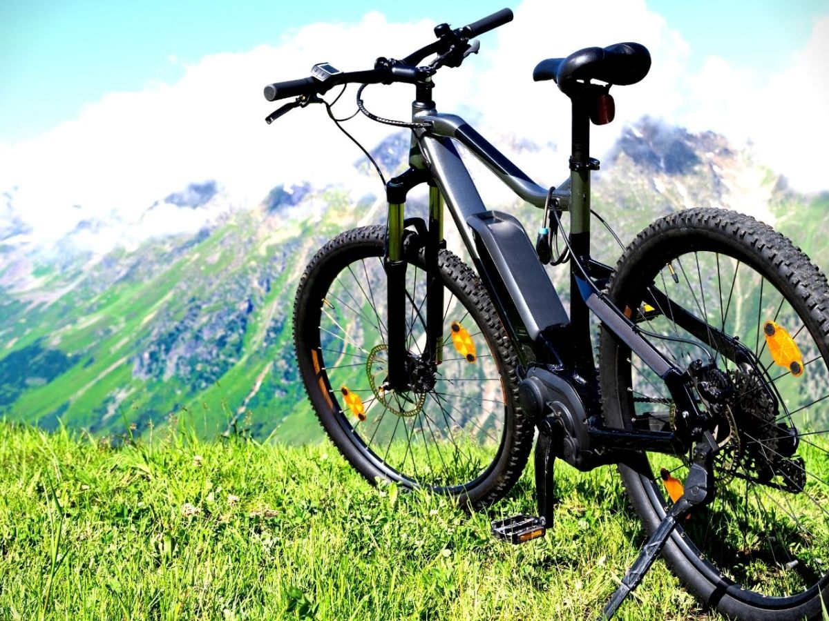 e-bike auf einer wiese