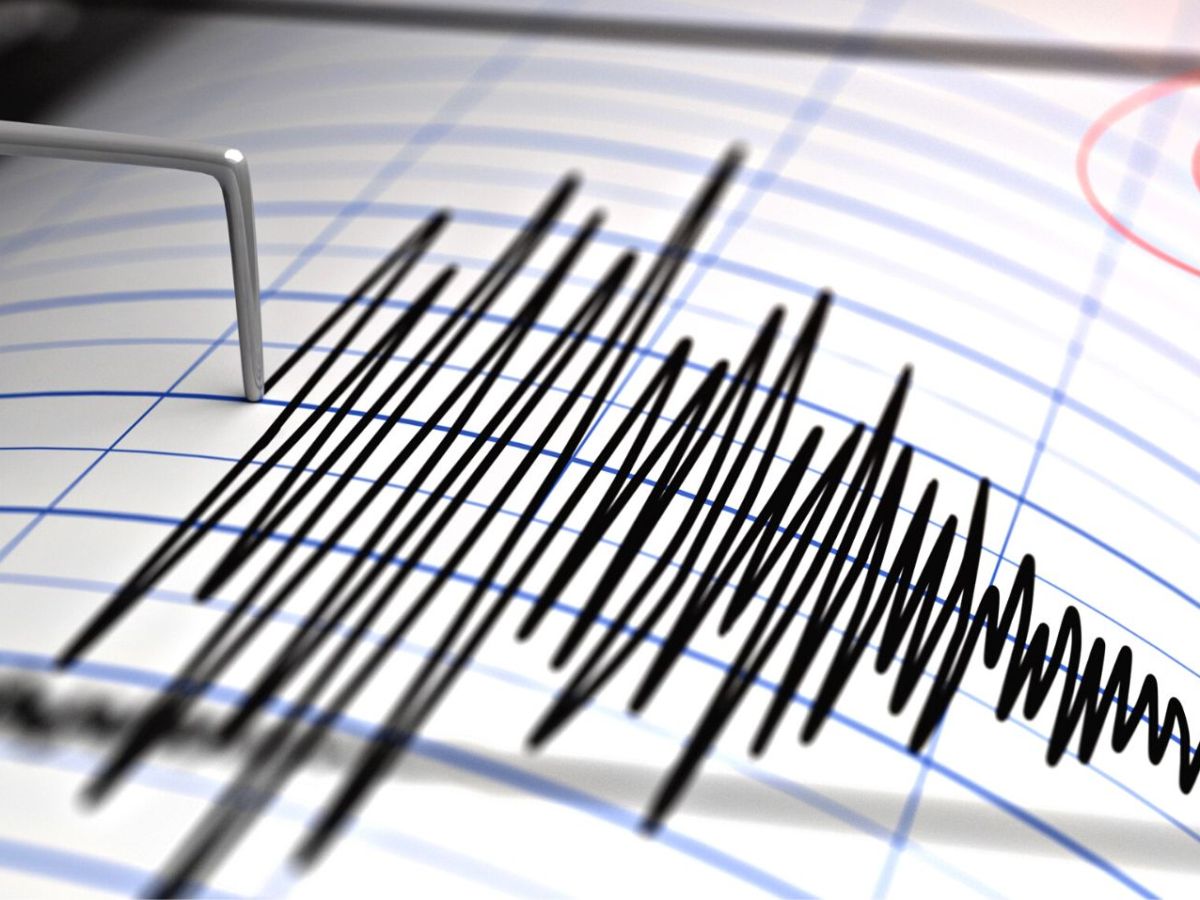 Seismograf zeichnet Erdbeben auf.