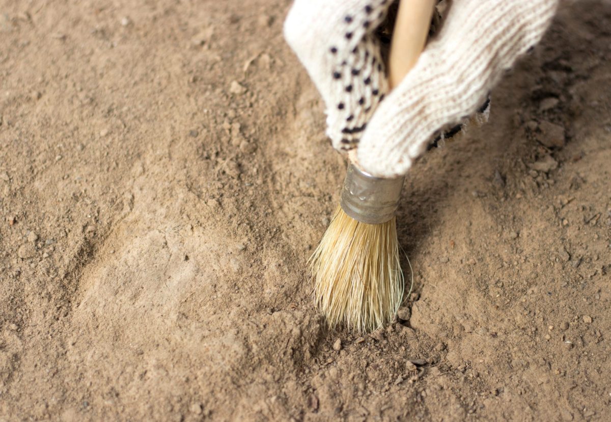 Person legt ein archäologisches Artefakt mit einem Pinsel frei.