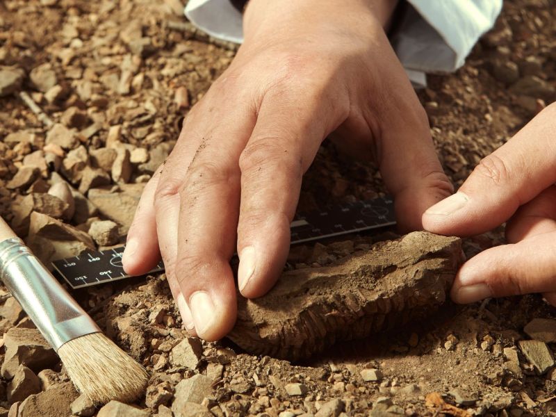 Person bei einer archäologischen Ausgrabung.