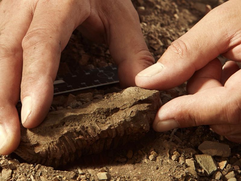 Aufnahme von einer archäologischen Ausgrabung.