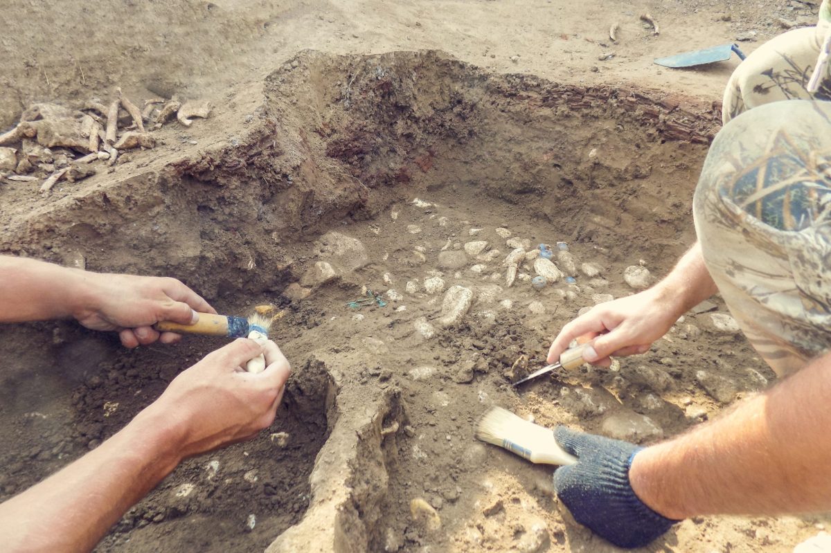 Menschen graben mit Werkzeugen an einem archäologischen Fund.