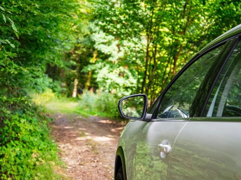 Seitenansicht eines Autos, das auf einem Waldweg steht.