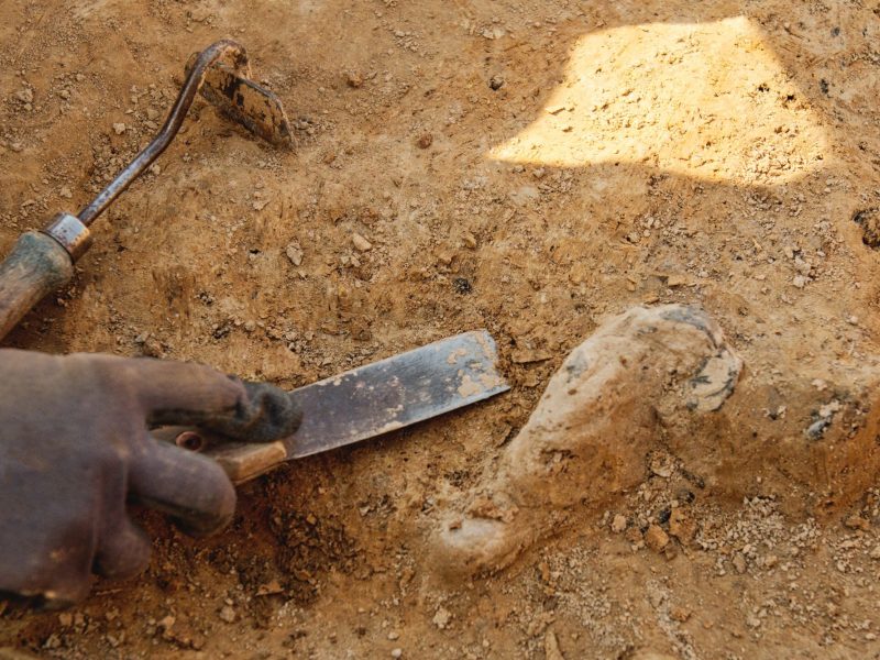 Person arbeitet mit Werkzeug an einem archäologischen Fund.