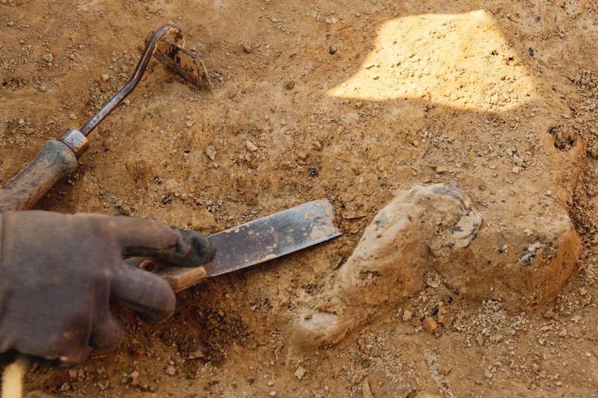 Person arbeitet mit Werkzeug an einem archäologischen Fund.