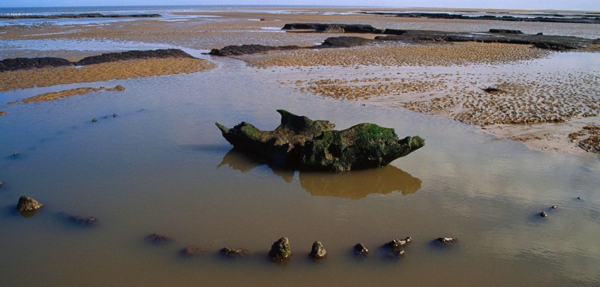 "Seahenge" genannter archäologischer Fund