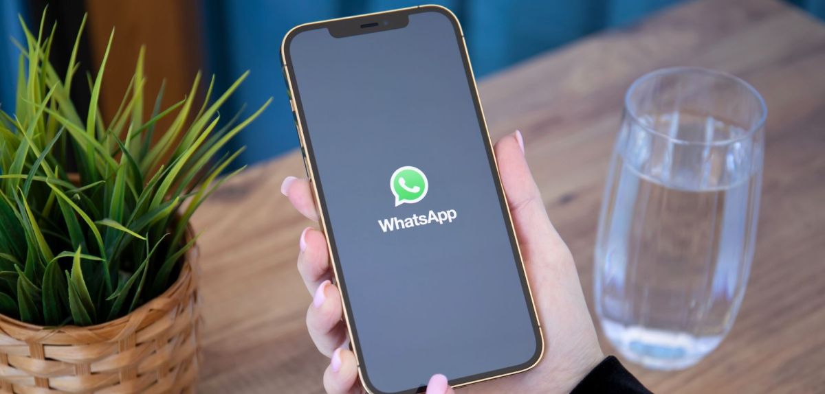 WhatsApp-Logo auf Smartphone