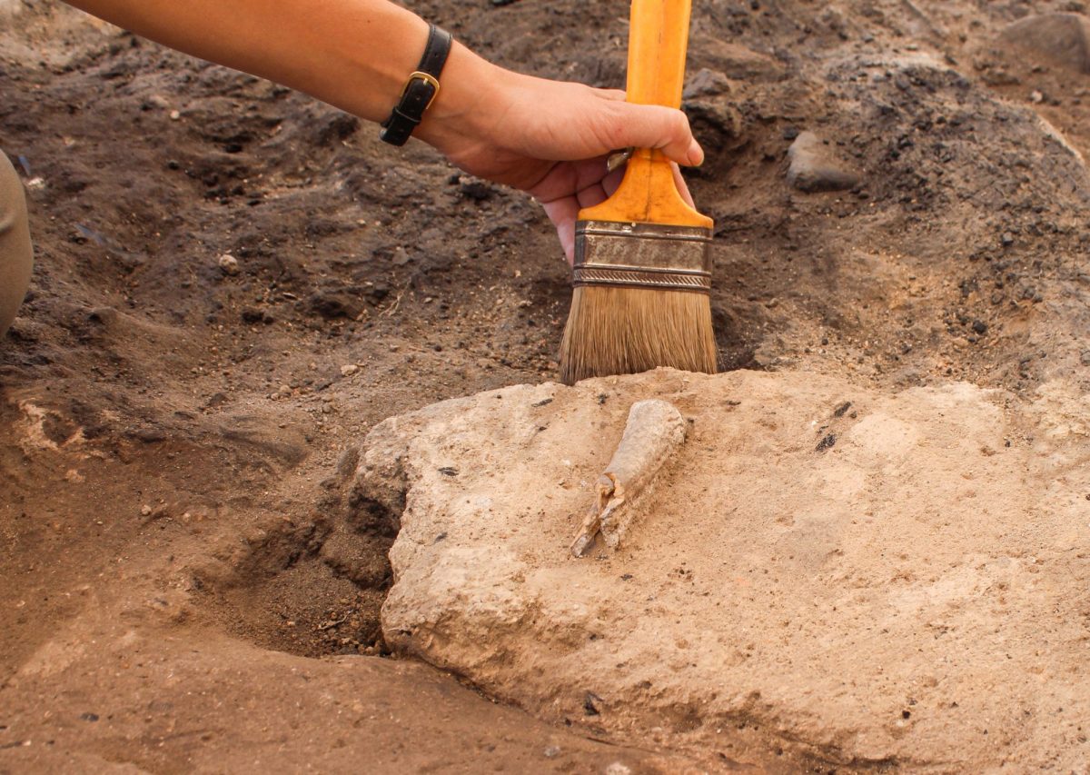 Person arbeitet mit Pinsel an einem archäologischen Fund.