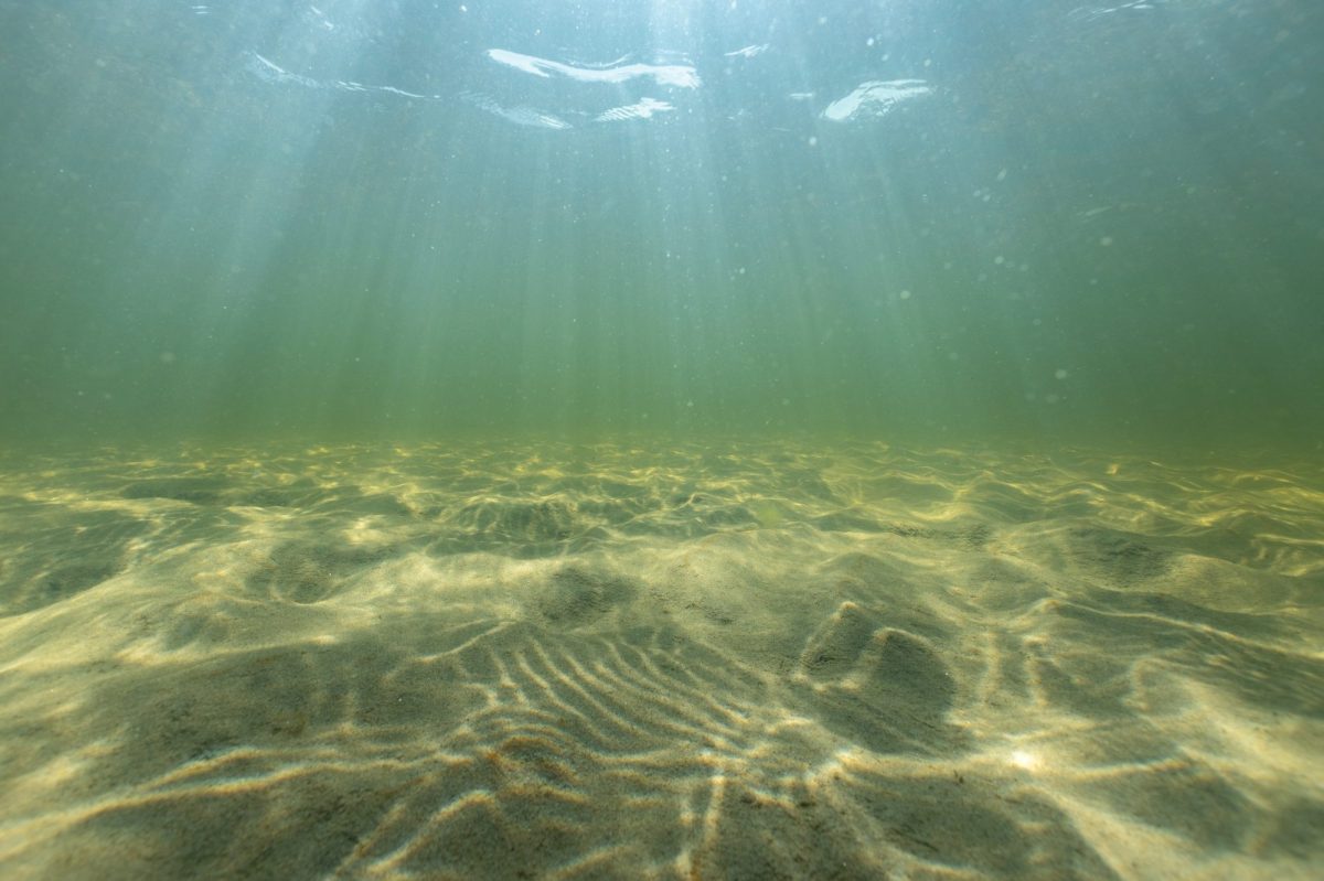 Lichtstrahlen schimmern durch die Wasseroberfläche auf den sandigen Meeresboden.