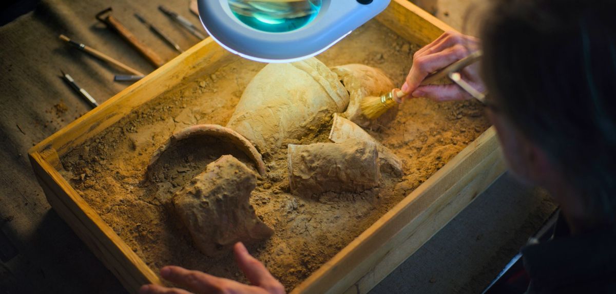 Nahaufnahme einer Archäologin, die unter einer Lampe mit einer Bürste das kulturelle Erbe einer untergegangenen Zivilisation aus dem Sand entfernt