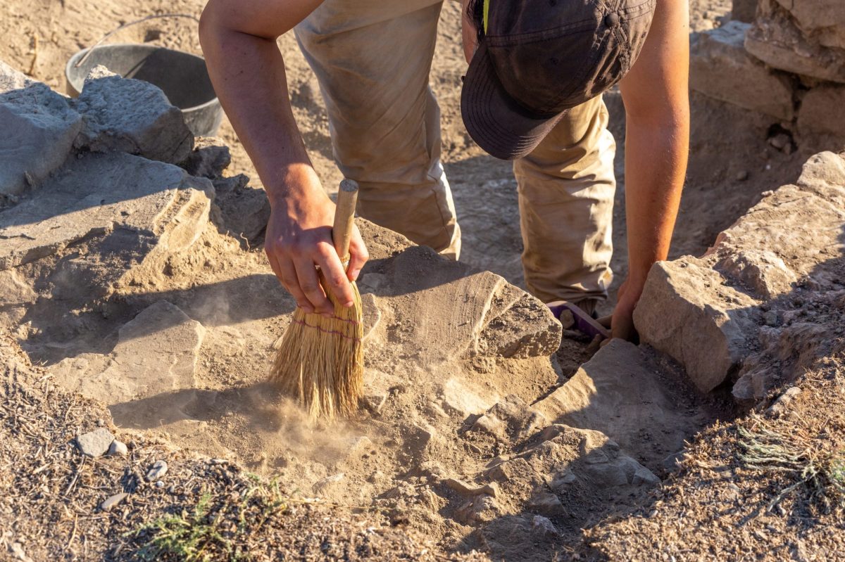 Mann arbeitet an einem archäologischen Fund