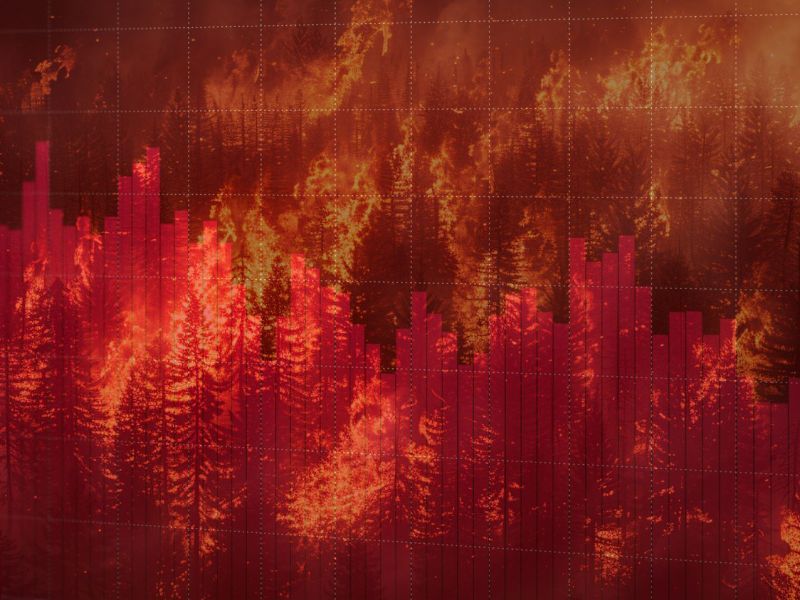 Fallende Aktienkurse transparent vor einem brennenden Wald