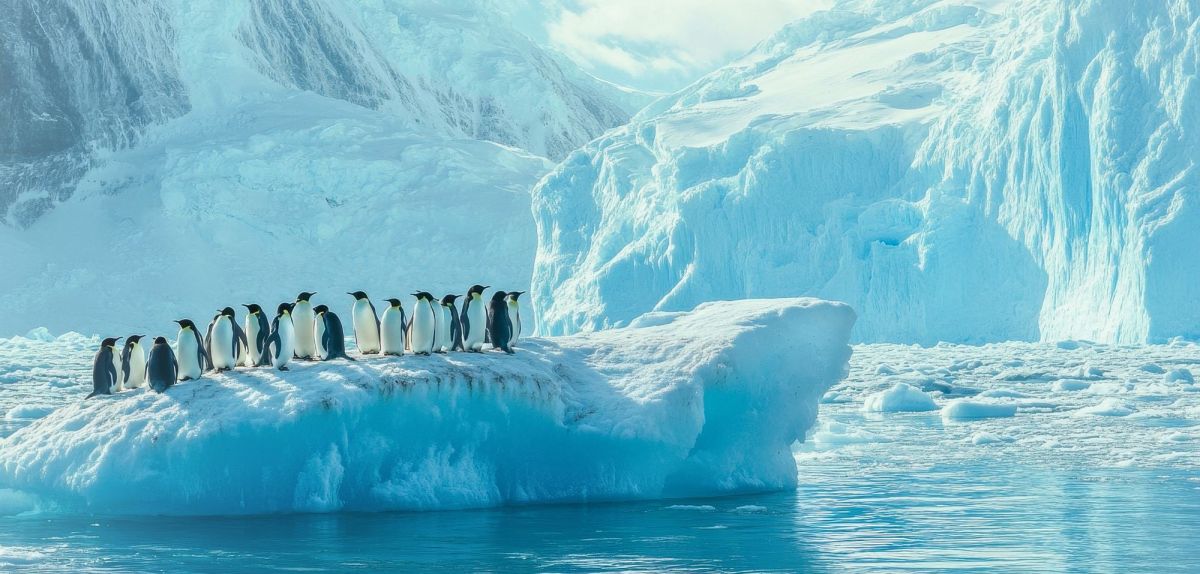 KI-generiertes Bild von Pinguinen auf einer Eisscholle in der Antarktis