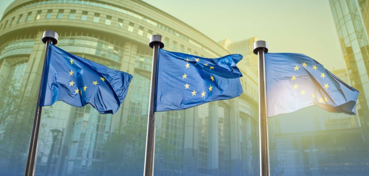 EU-Flaggen