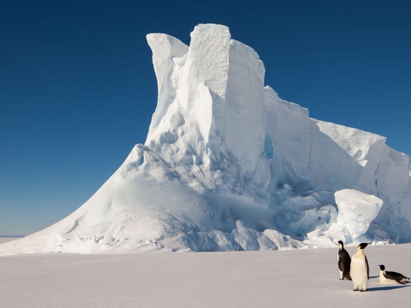 Kaiserpinguine vor einem Eisberg.