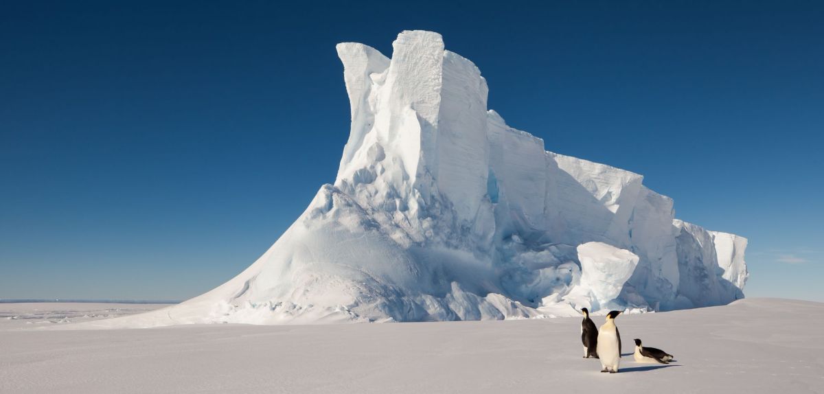Kaiserpinguine vor einem Eisberg.
