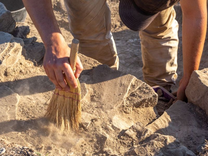 Person untersucht einen archäologischen Fund.